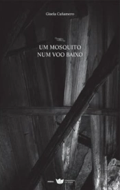Um Mosquito Num Voo Baixo