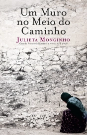 Um Muro no Meio do Caminho