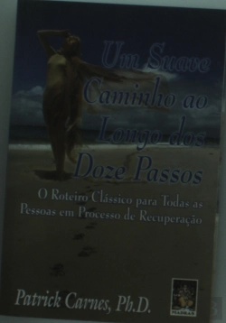 Bertrand.pt - Um Suave Caminho ao Longo dos Doze Passos