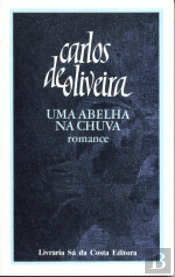 Uma Abelha na Chuva