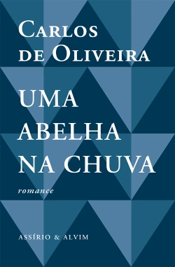 Bertrand.pt - Uma Abelha na Chuva