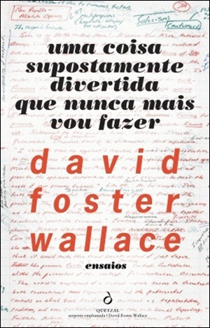 Uma Coisa Supostamente Divertida Que Nunca Mais Vou Fazer