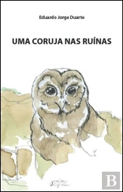 Uma Coruja nas Ruínas