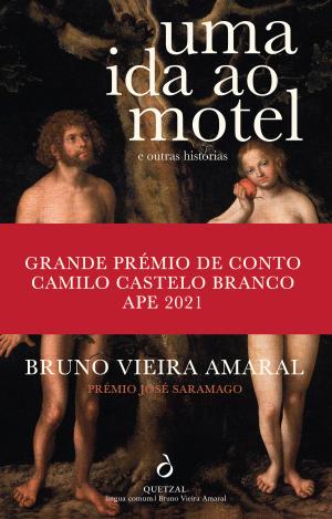 As Primeiras Coisas de Bruno Vieira Amaral - Livro - WOOK