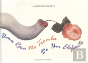Uma Rosa na Tromba de Um Elefante