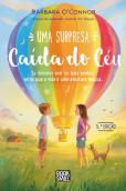 Uma Surpresa Caída do Céu