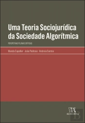 Uma Teoria Sociojurídica da Sociedade Algorítmica