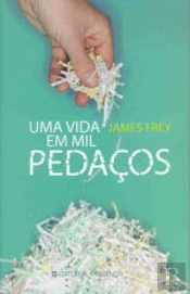 Uma Vida em Mil Pedaços