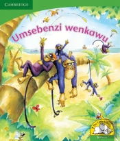 Umsebenzi Wenkawu