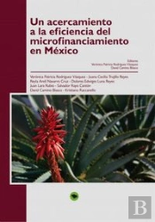 Un Acercamiento A La Eficiencia Del Microfinanciamiento En México