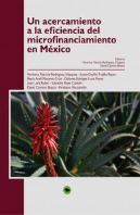 Un Acercamiento A La Eficiencia Del Microfinanciamiento En México