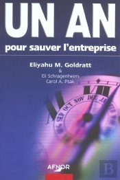 Un An Pour Sauver L'Entreprise