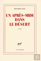 Un Après-Midi Dans Le Désert