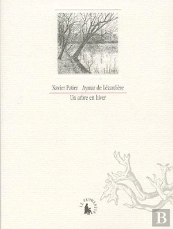 Bertrand.pt - Un Arbre En Hiver