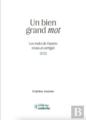 Un Bien Grand Mot : Les Mots De L'Année Revus Et Corrigés 2022