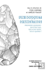 Un Bouquet D'Ancêtres ; Premiers Humains : Qui Était Qui, Qui A Fait Quoi, Où Et Quand ?