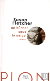 Un Bucher Sous La Neige
