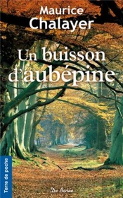 Un Buisson D'Aubépine