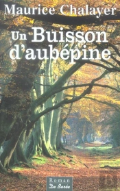 Un Buisson D'Aubepine