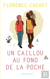 Un Caillou Au Fond De La Poche