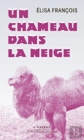 Un Chameau Dans La Neige
