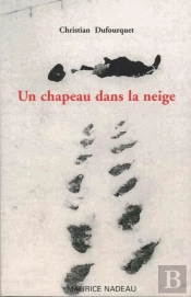 Un Chapeau Dans La Neige