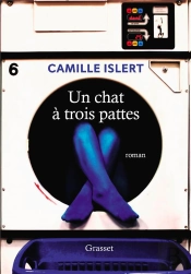 Un Chat A Trois Pattes - Premier Roman