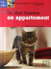 Un Chat Heureux En Appartement