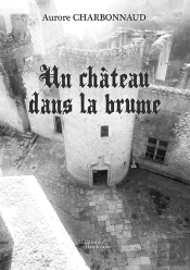Un Château Dans La Brume
