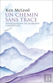 Un Chemin Sans Trace ; Enseignements De La Grande Complétude
