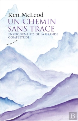 Bertrand.pt - Un Chemin Sans Trace ; Enseignements De La Grande Complétude