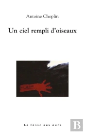 Un Ciel Rempli D'Oiseaux