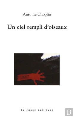 Bertrand.pt - Un Ciel Rempli D'Oiseaux