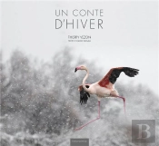 Un Conte D'Hiver