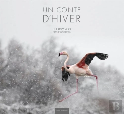 Bertrand.pt - Un Conte D'Hiver