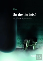 Un Destin Brisé : Touché En Plein Vol