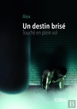 Bertrand.pt - Un Destin Brisé : Touché En Plein Vol