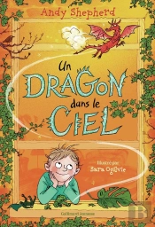 Un Dragon Dans Le Ciel