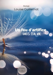 Un Feu D'Artifice Dans Ma Vie : Tome 1 - Foncer Ou S'Enfoncer