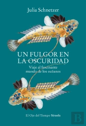 Un Fulgor En La Oscuridad