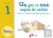 Un Gat En Una Capsa De Calçat