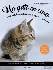 Un Gato En Casa
