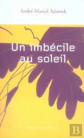 Un Imbécile Au Soleil