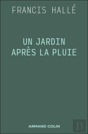 Un Jardin Après La Pluie