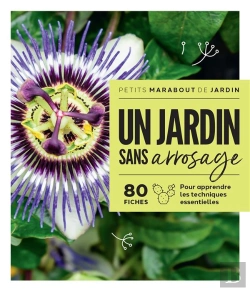 Bertrand.pt - Un Jardin Sans Arrosage : 80 Fiches Pour Apprendre Les Techniques Essentielles