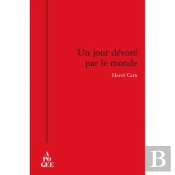 Un Jour Dévoré Par Le Monde