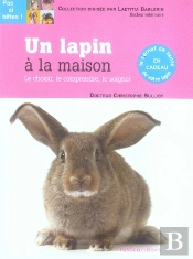 Un Lapin À La Maison