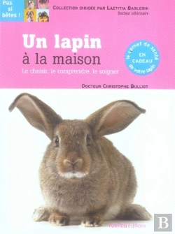 Bertrand.pt - Un Lapin À La Maison