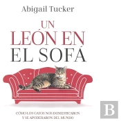 Un León En El Sofá