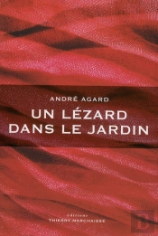 Un Lézard Dans Le Jardin